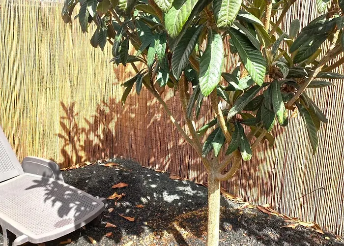 Acogedora Casa Con Jardin Y Barbacoa